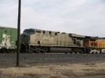 NS 7555 in primer